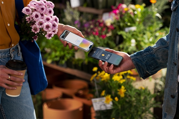 我们很少用到的Apple Pay 为什么对苹果这么重要(图4)