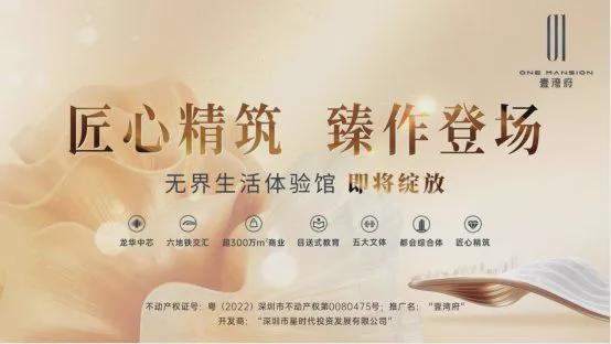 2025壹湾府(壹湾府)壹湾府官方网站壹湾府售楼中心壹湾府欢迎您(图2)